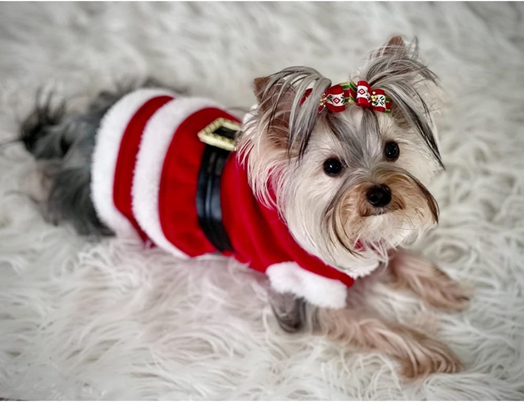 Dog Christmas Dresses Cat Xmax Suits Small Pet Haliday Outfits Winter Warm Clothes (Red,Xs)