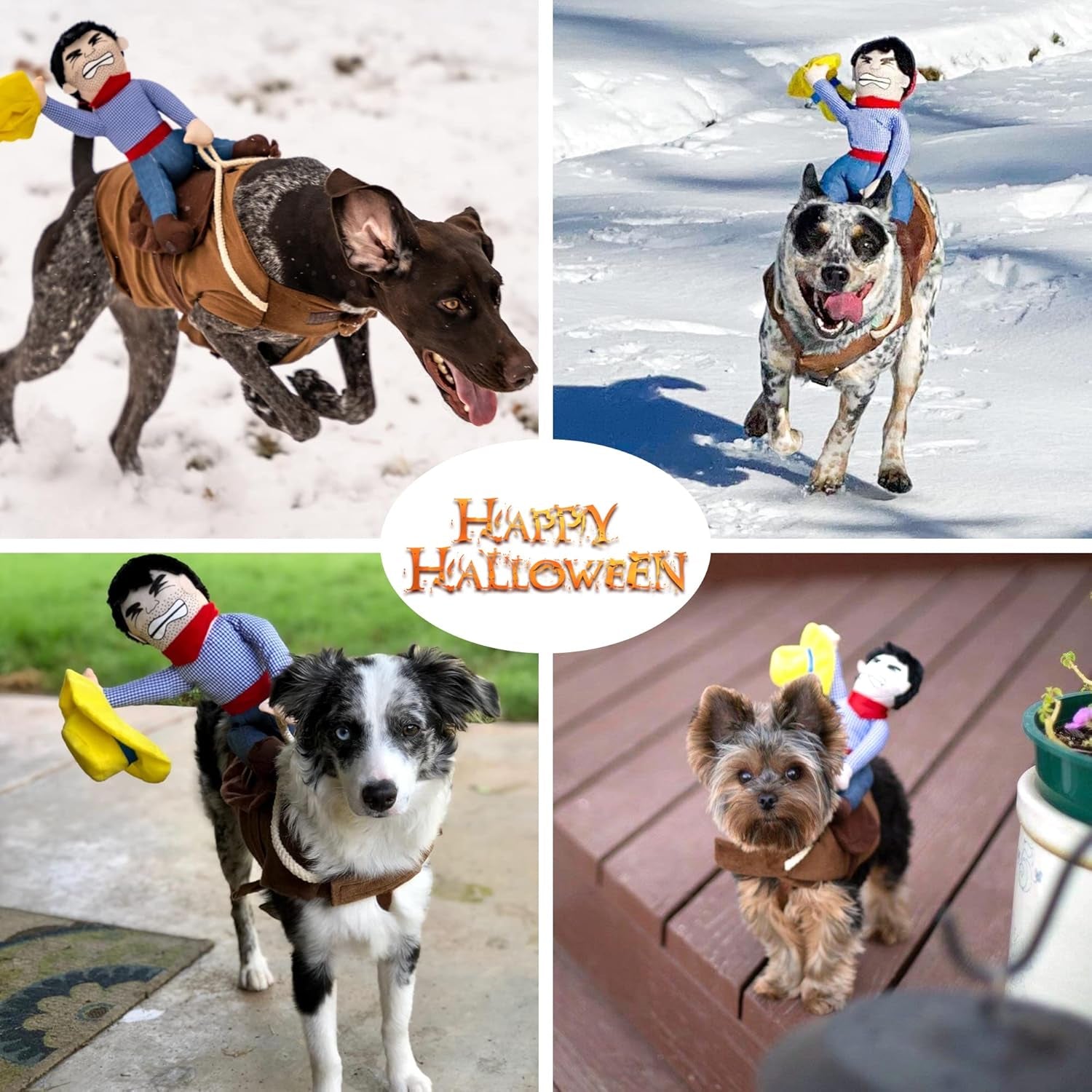  Funny Dog Cowboy Riding Costume 