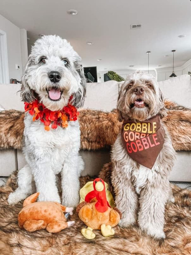 Thanksgiving Turkey Decorative Dog Collar (Large)