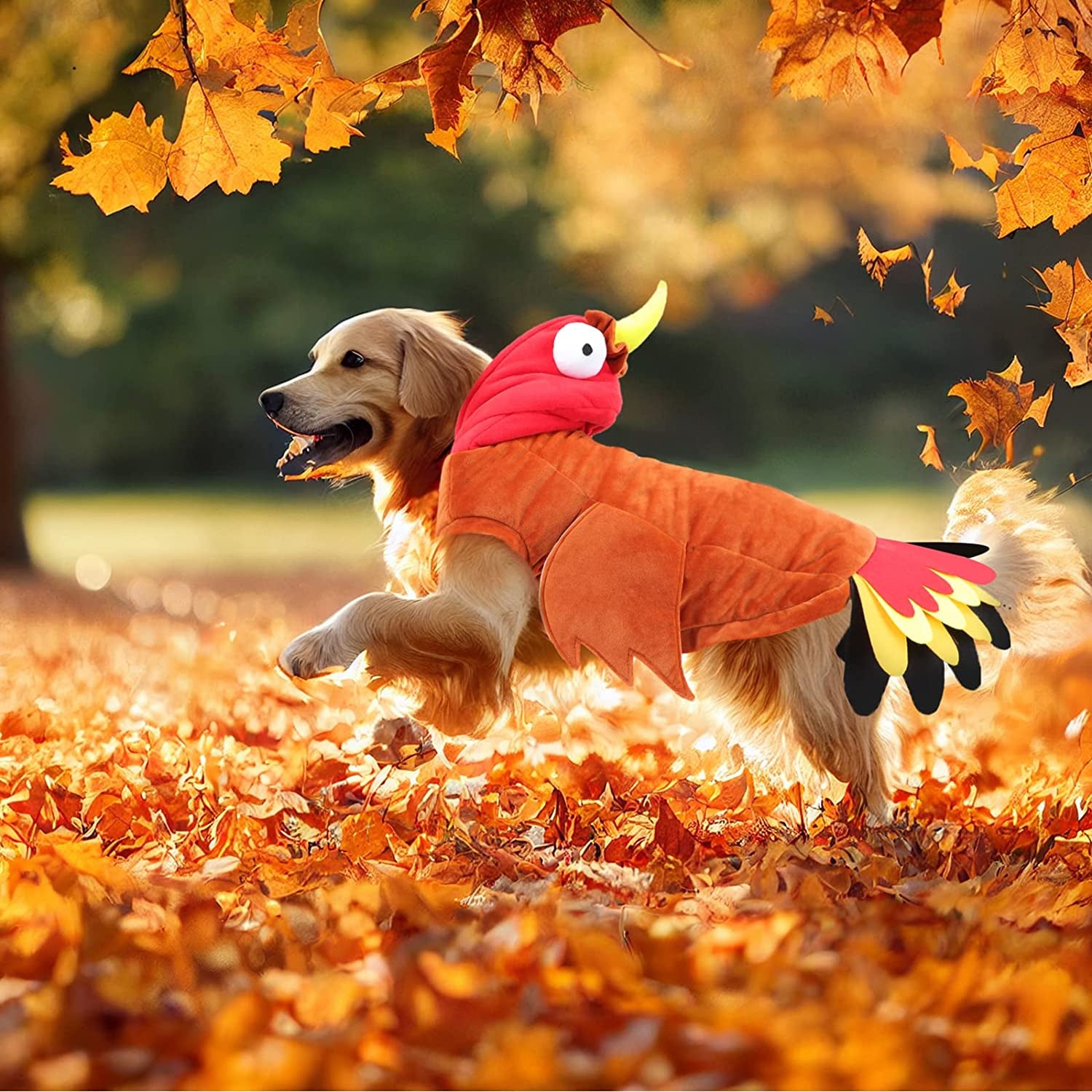 Turkey Dog Costume Thanksgiving Apparel Pet Costume for Dogs and Cats M(Neck:11.4" Chest:15" Back:11")