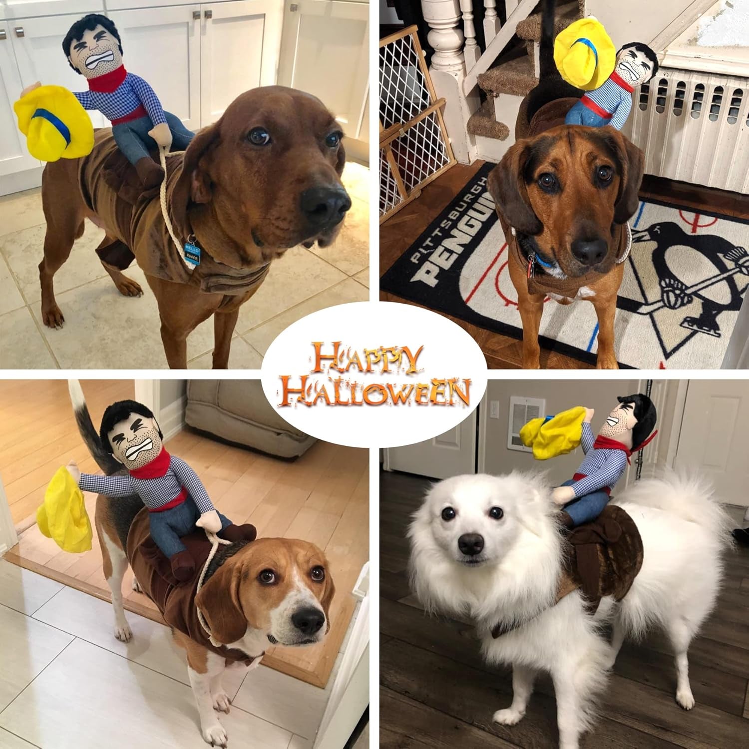  Funny Dog Cowboy Riding Costume 